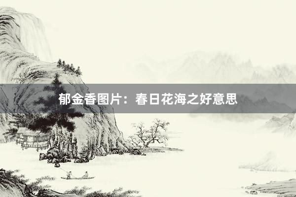 郁金香图片：春日花海之好意思